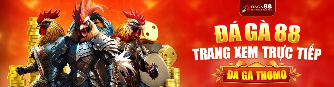 Đá Gà Trực Tiếp t88 bet - Trận Đấu Gà Kịch Tính
